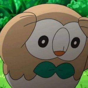 Meet your Posher, Gaby